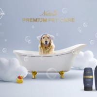 宠物用品大量需求
